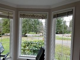 Living room windows.  (3) approx. 27.5 x 73.5  (1) 44 x 73.5