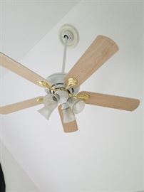 Master bedroom Hampton Bay ceiling fan