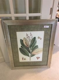 Botanical print in silvered frame ($84)