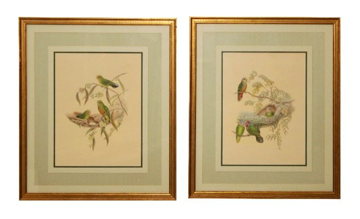 369. Pair Decorative Bird Prints