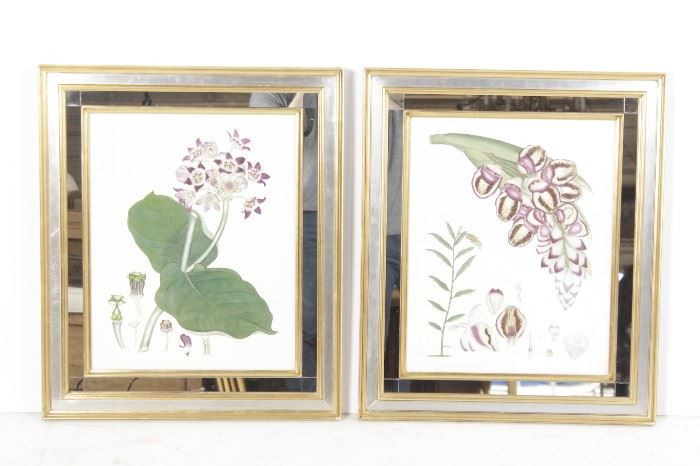 532. Pair Decorator Botanicals in Mirrored Frames
