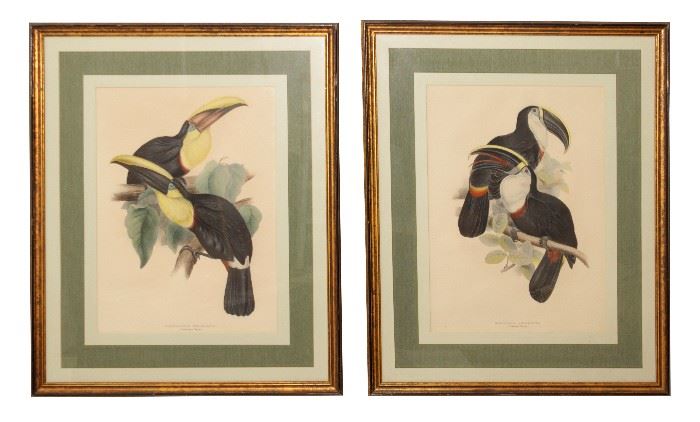 633. Pair Decorative Prints of Toucans
