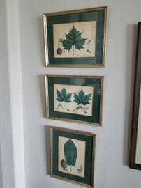 Botanical Print