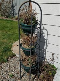 Plants and Plant Stand