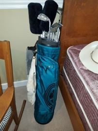 Ping Golf clubs and Bag