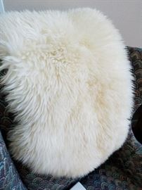 Sheep Skin