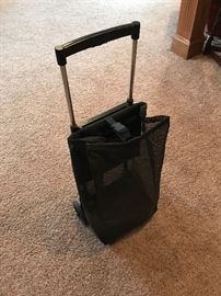 Lightweight  Mesh Shopping Cart with extending handle.