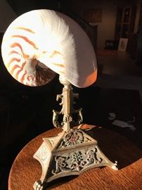 Nautilus Lamp, 12” Height, Great accent piece!