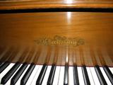 Chickering Grand piano.