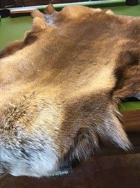 Animal skin rug
