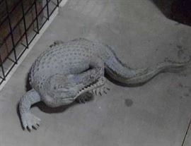 life size bronze alligator
