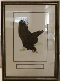 Eagle print in frame