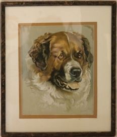 Framed St Bernard print