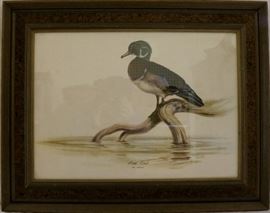Wood duck print in frame