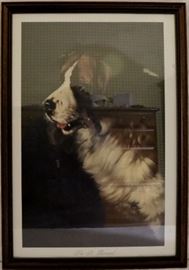 St Bernard in frame