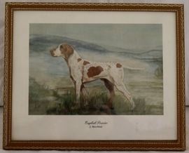 English Pointer print in frame