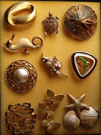broaches