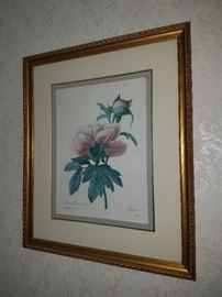 Botanical Print