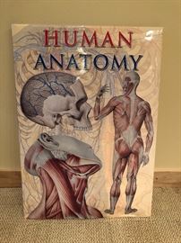 Large Human Anatomy Book