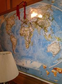 Large wall world map