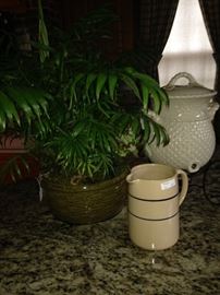 Live plant, pottery pitcher, and dispenser
