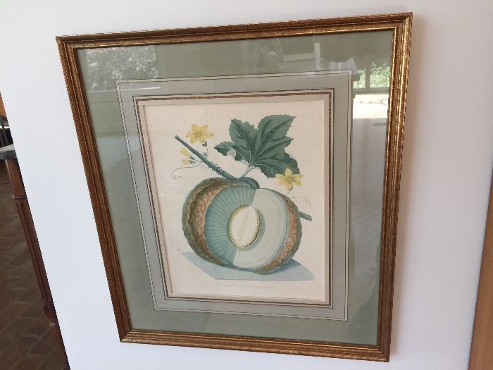 7. Pair of Antique Melon Botanicals w/ Fine French Matting (18" x 20")