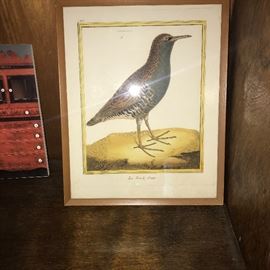 BIRD LITHOGRAPH