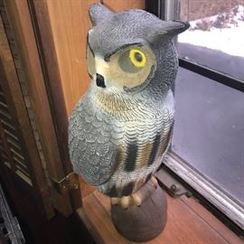 OWL