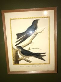 BIRDS LITHO