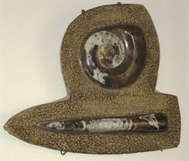 Dorsheimer TRILOBITE