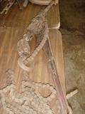 Engine chain hoist