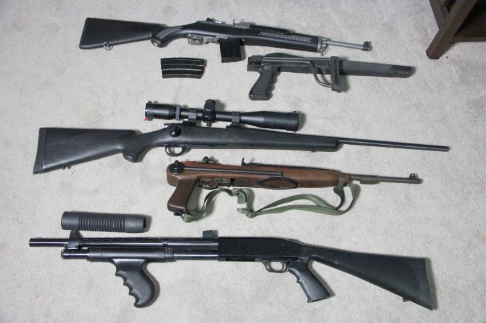 Selection of Long Guns