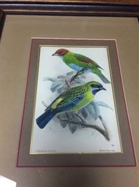 Hand colored lithograph
