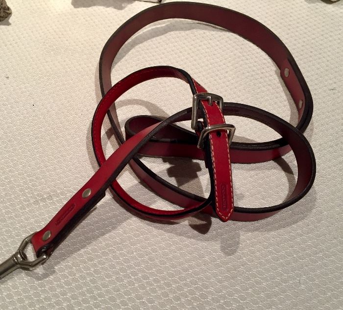Coach leather dog collar and leash