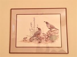 Quail Framed Print