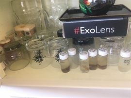 •	Collection of preserved bug and animal specimens in jars