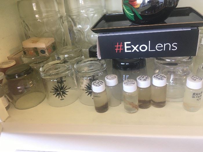 • Collection of preserved bug and animal specimens in jars
