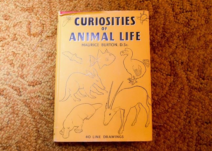 Curiosities of Animal Life (40 Line Drawings) by Maurice Burton