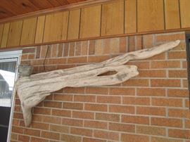 Large driftwood turned art