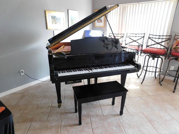Weber WG50 Baby Grand Digital Player piano (classic and disk play)
