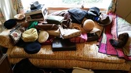 camel back sofa now covered with cats and purses