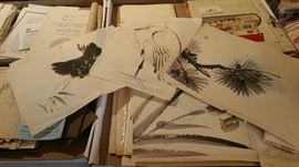 pen and ink drawings - they are lovely!