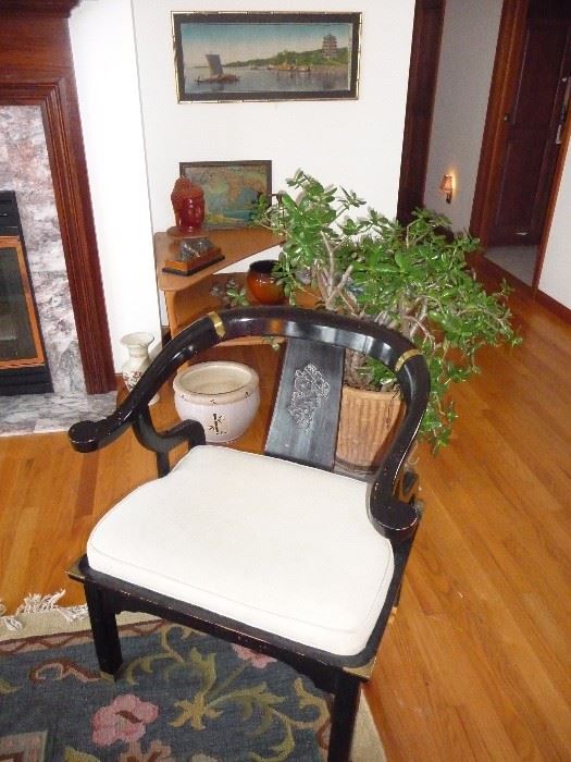 lacquer  chair / plants