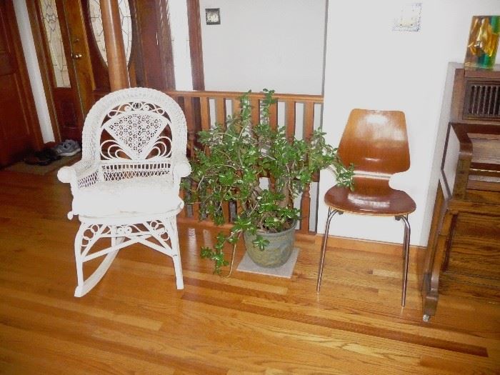 wicker / bent chair / Jade plant