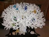 Large Coral piece from Arabia