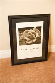 Ansel Adams "Rose And Driftwood" Framed Poster