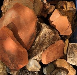 Petrified Wood, Asst Rock