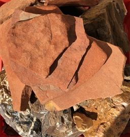 Petrified Wood, Asst Rock