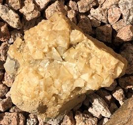 Petrified Wood, Asst Rock