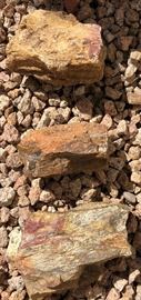 Petrified Wood, Asst Rock
